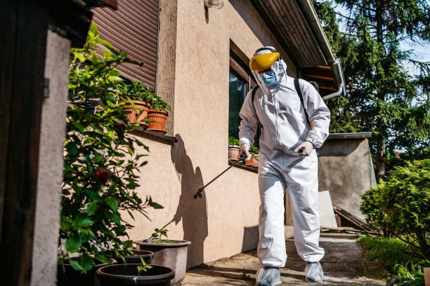 Best Best Pest Control Companies  in North Ridgeville, OH