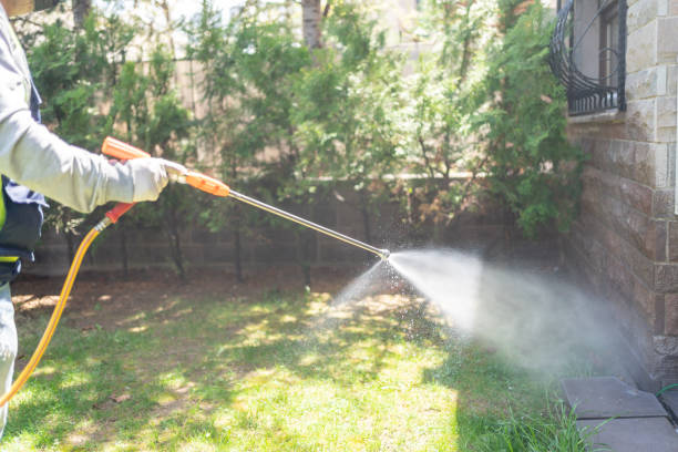 Best Affordable Pest Control Services  in North Ridgeville, OH