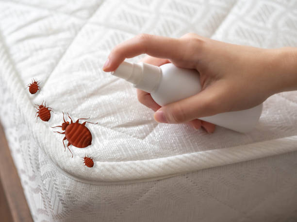 Best Exterminator Services  in North Ridgeville, OH